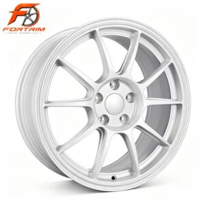 FORTRIM FT-M204 Brushed Silver Ten-Spoke custom forged wheel