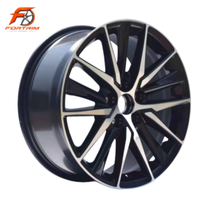 FORTRIM FT-M311 Brushed Double-Spoke custom forged wheel