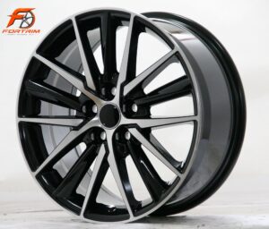 FORTRIM FT-M311 Brushed Double-Spoke custom forged wheel