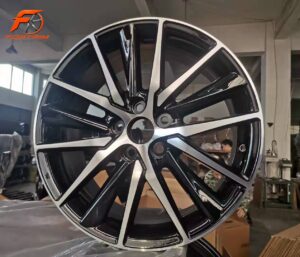 FORTRIM FT-M311 Brushed Double-Spoke custom forged wheel